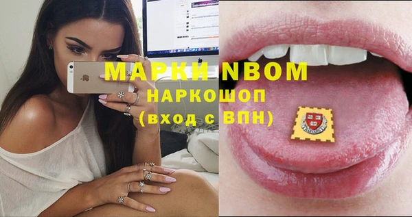 стаф Алексеевка